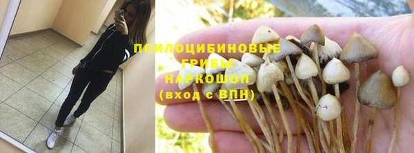 марки lsd Богородицк