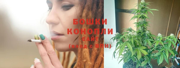 мдпв Богданович