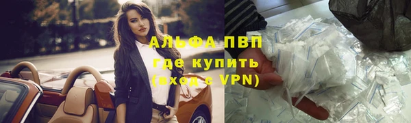 мдпв Богданович
