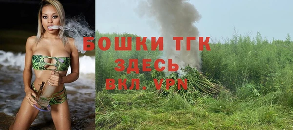 мдпв Богданович