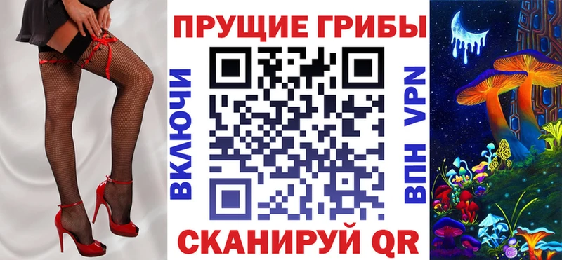 Галлюциногенные грибы Psilocybine cubensis  Каневская 